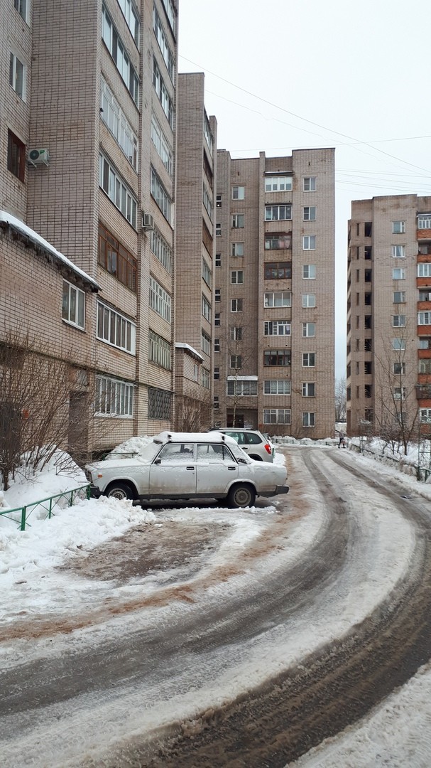 обл. Новгородская, г. Великий Новгород, ул. Большая Санкт-Петербургская, д. 110-придомовая территория