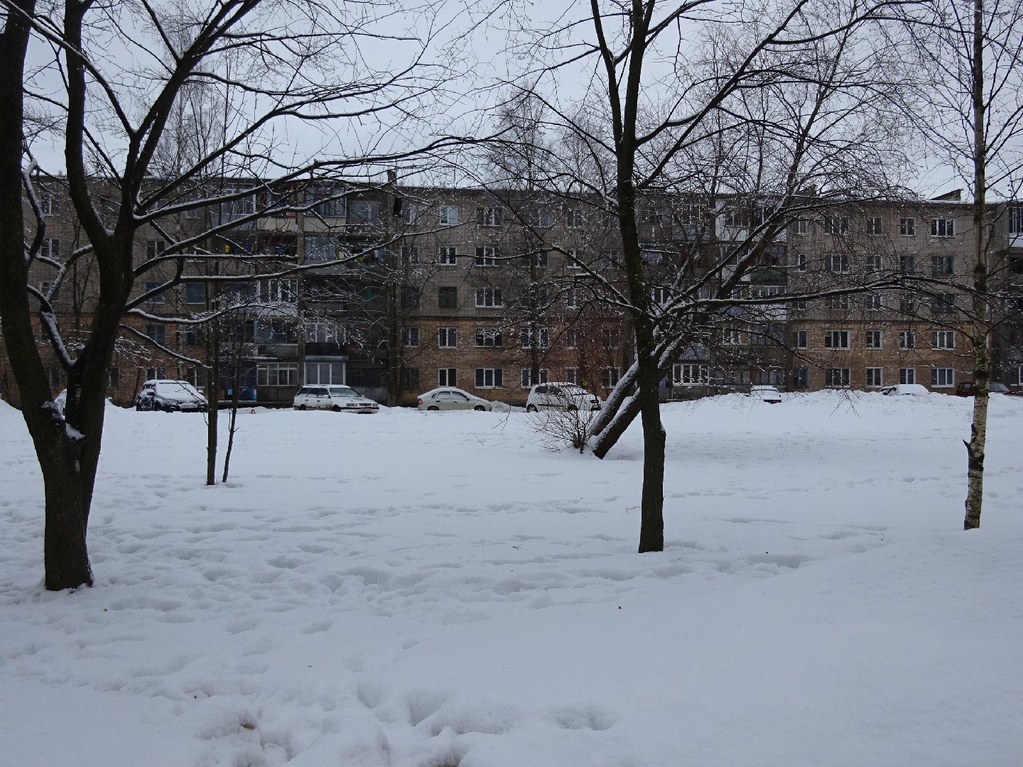 обл. Новгородская, г. Великий Новгород, ул. Большая Санкт-Петербургская, д. 138-придомовая территория