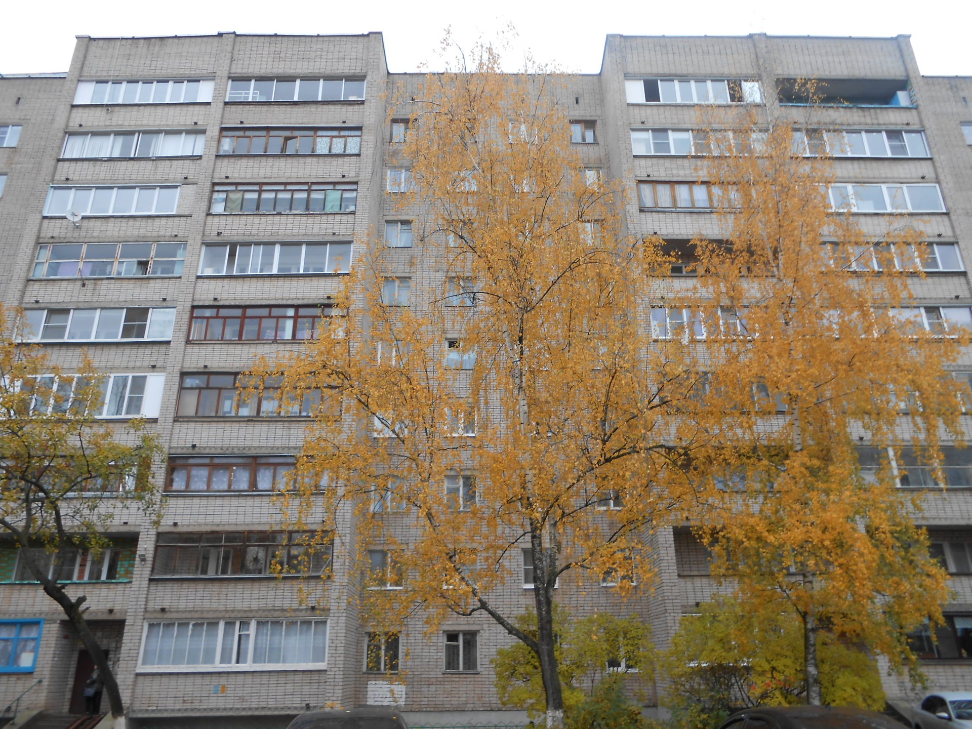 обл. Новгородская, г. Великий Новгород, ул. Большая Санкт-Петербургская, д. 150-фасад здания