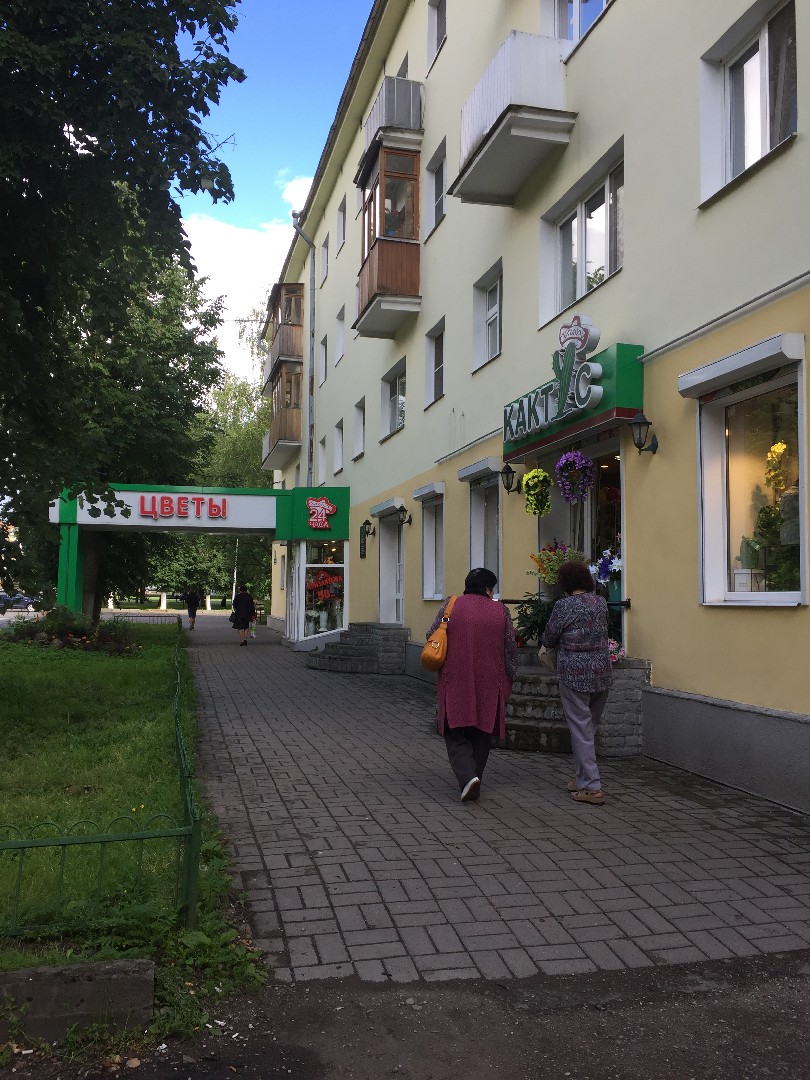 обл. Новгородская, г. Великий Новгород, б-р. Воскресенский, д. 1-придомовая территория