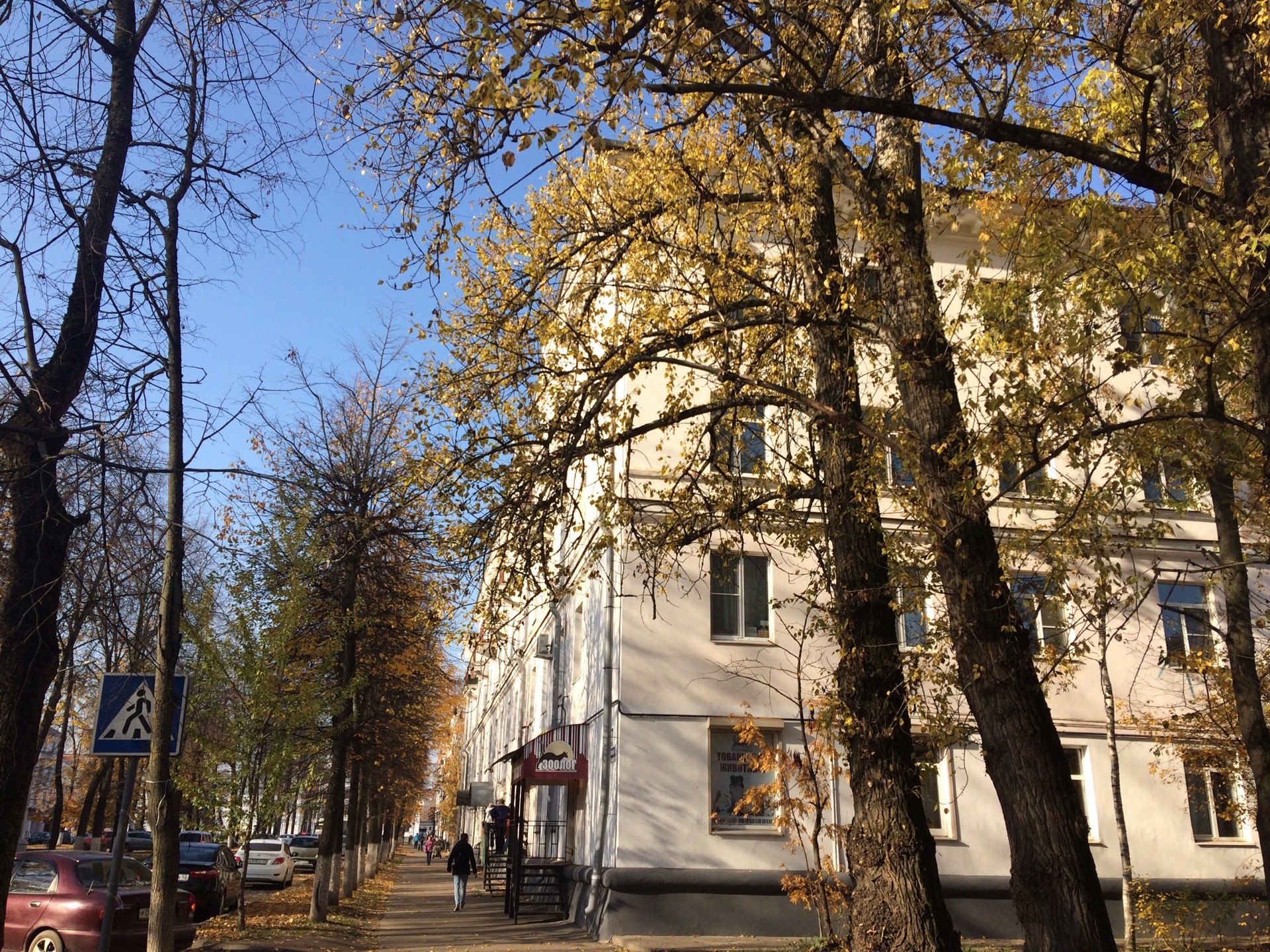 обл. Новгородская, г. Великий Новгород, б-р. Воскресенский, д. 10-фасад здания