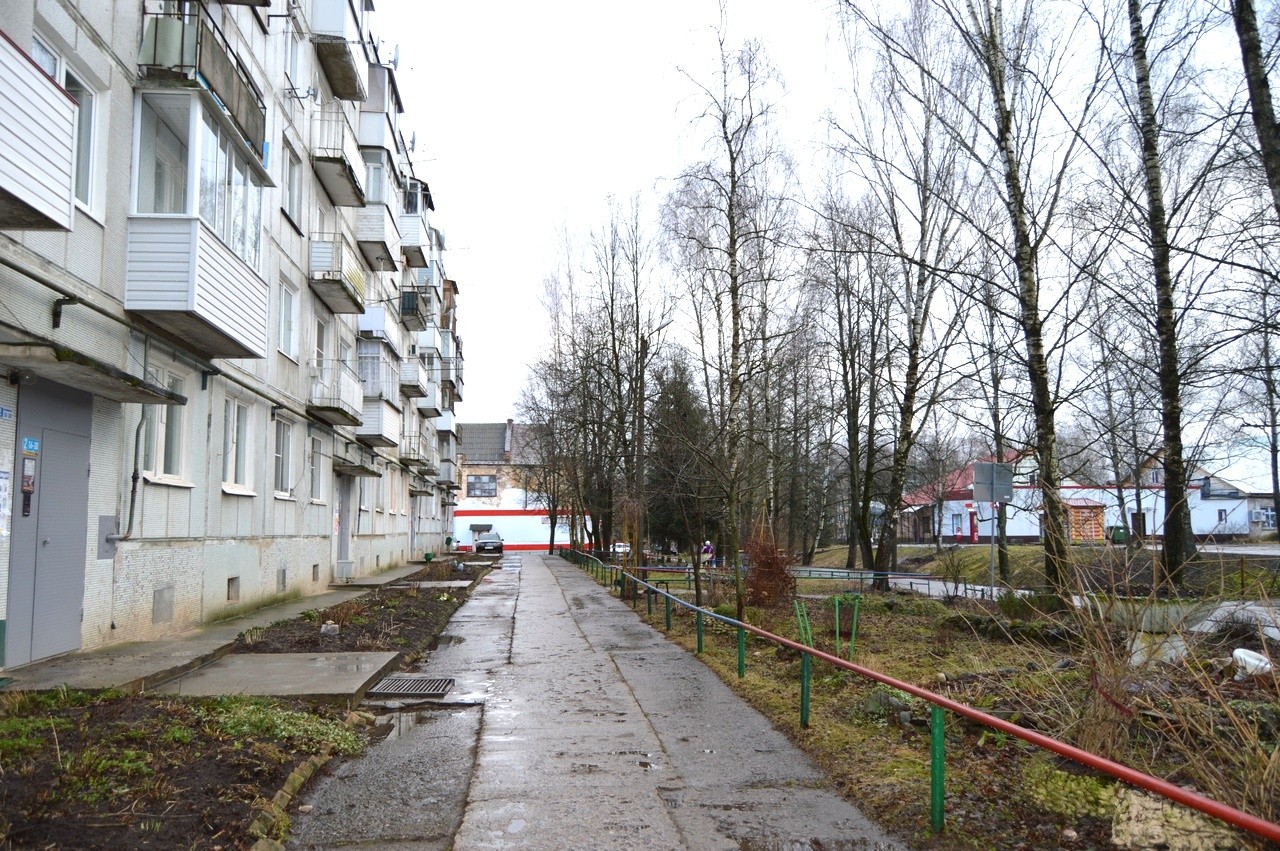 обл. Новгородская, г. Великий Новгород, мкр. Кречевицы, д. 163-придомовая территория