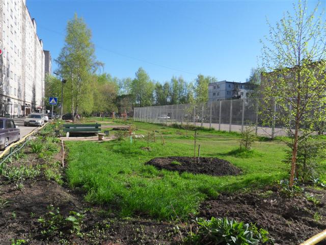 обл. Новгородская, г. Великий Новгород, пр-кт. Мира, д. 21-придомовая территория