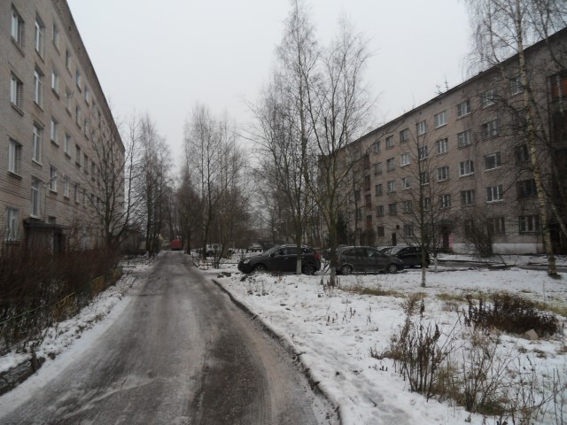 обл. Новгородская, г. Великий Новгород, ул. Московская, д. 24-придомовая территория