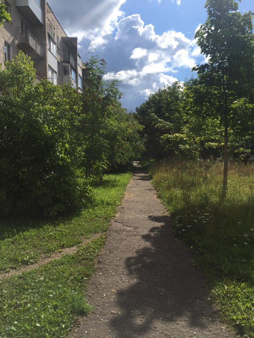 обл. Новгородская, р-н. Маловишерский, г. Малая Вишера, ул. Мерецкова, д. 10-придомовая территория