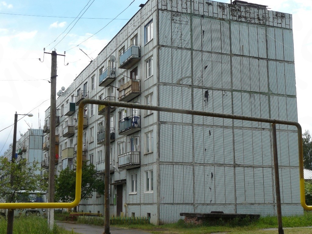 обл. Новгородская, р-н. Новгородский, д. Новоселицы, ул. Армейская, д. 99-фасад здания