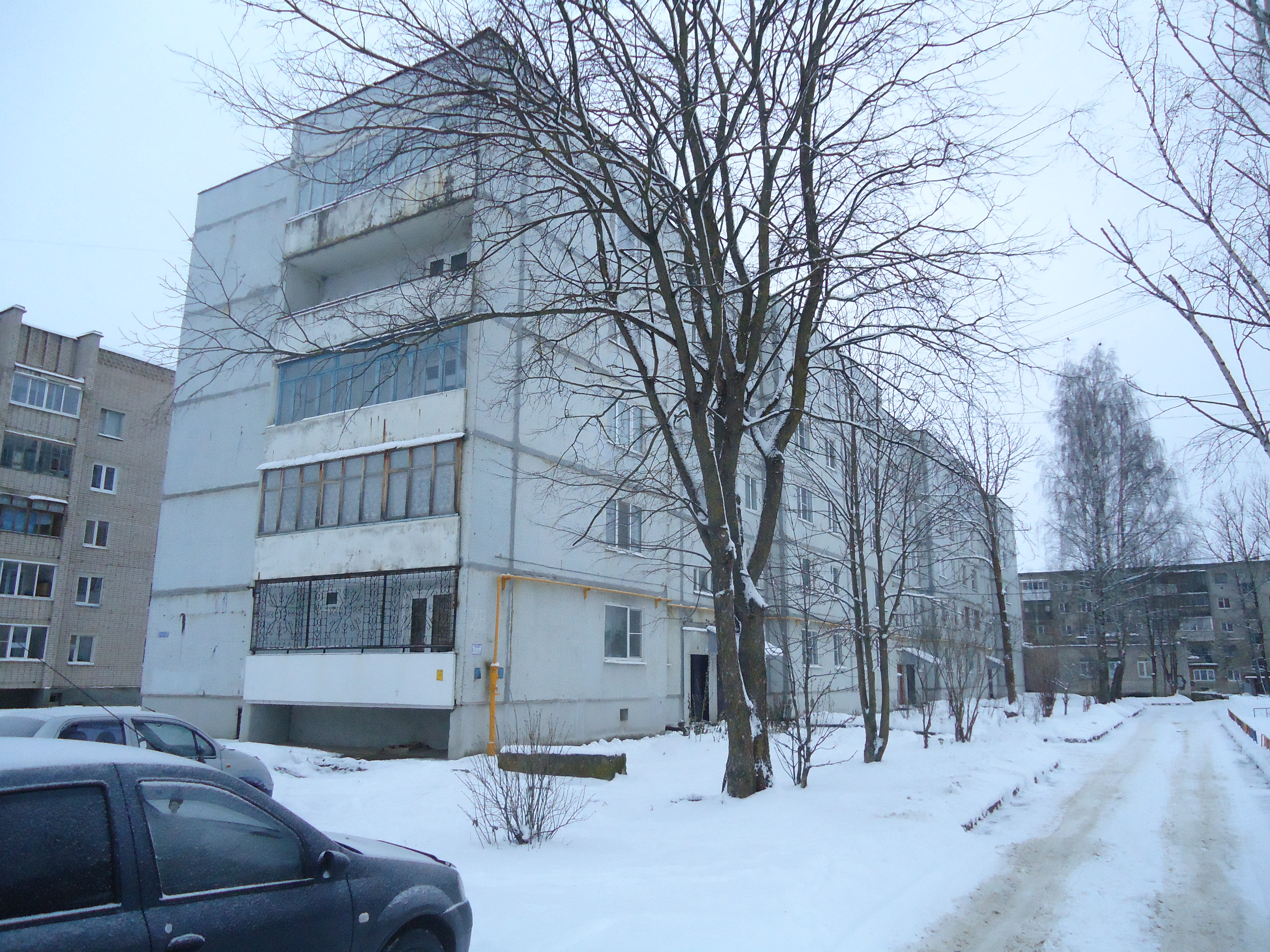 обл. Новгородская, р-н. Старорусский, г. Старая Русса, ул. Энгельса, д. 28-фасад здания