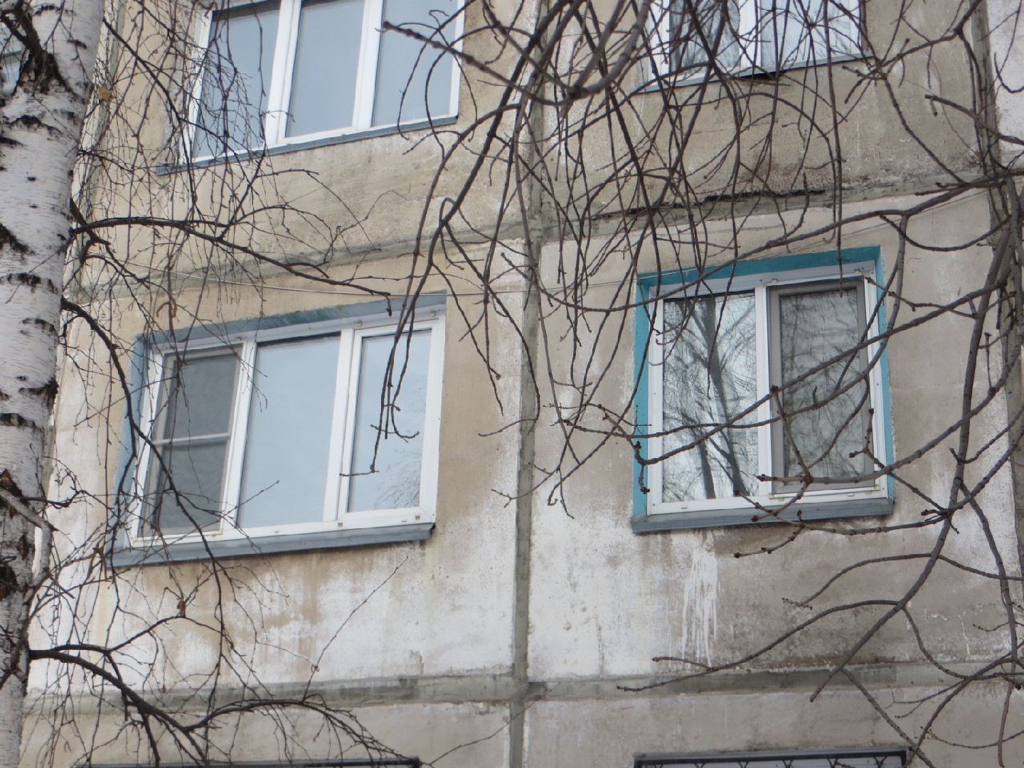 край. Алтайский, г. Бийск, ул. Мухачева, д. 109-фасад здания