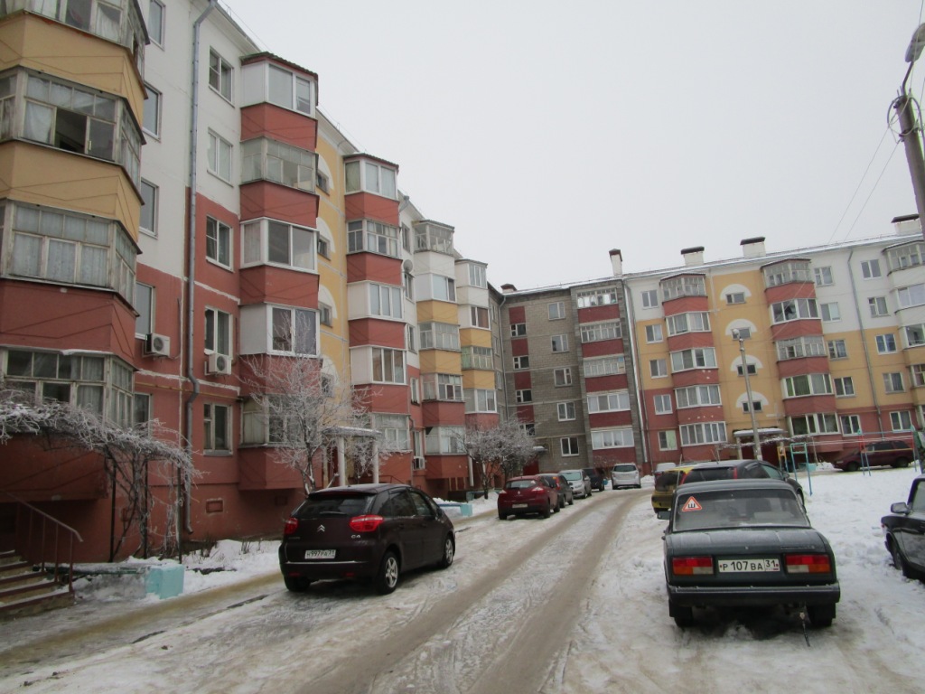 обл. Белгородская, г. Белгород, ул. Конева, д. 8-придомовая территория