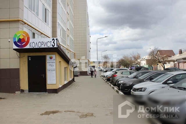 обл. Белгородская, г. Белгород, ул. Лермонтова, д. 19а-придомовая территория