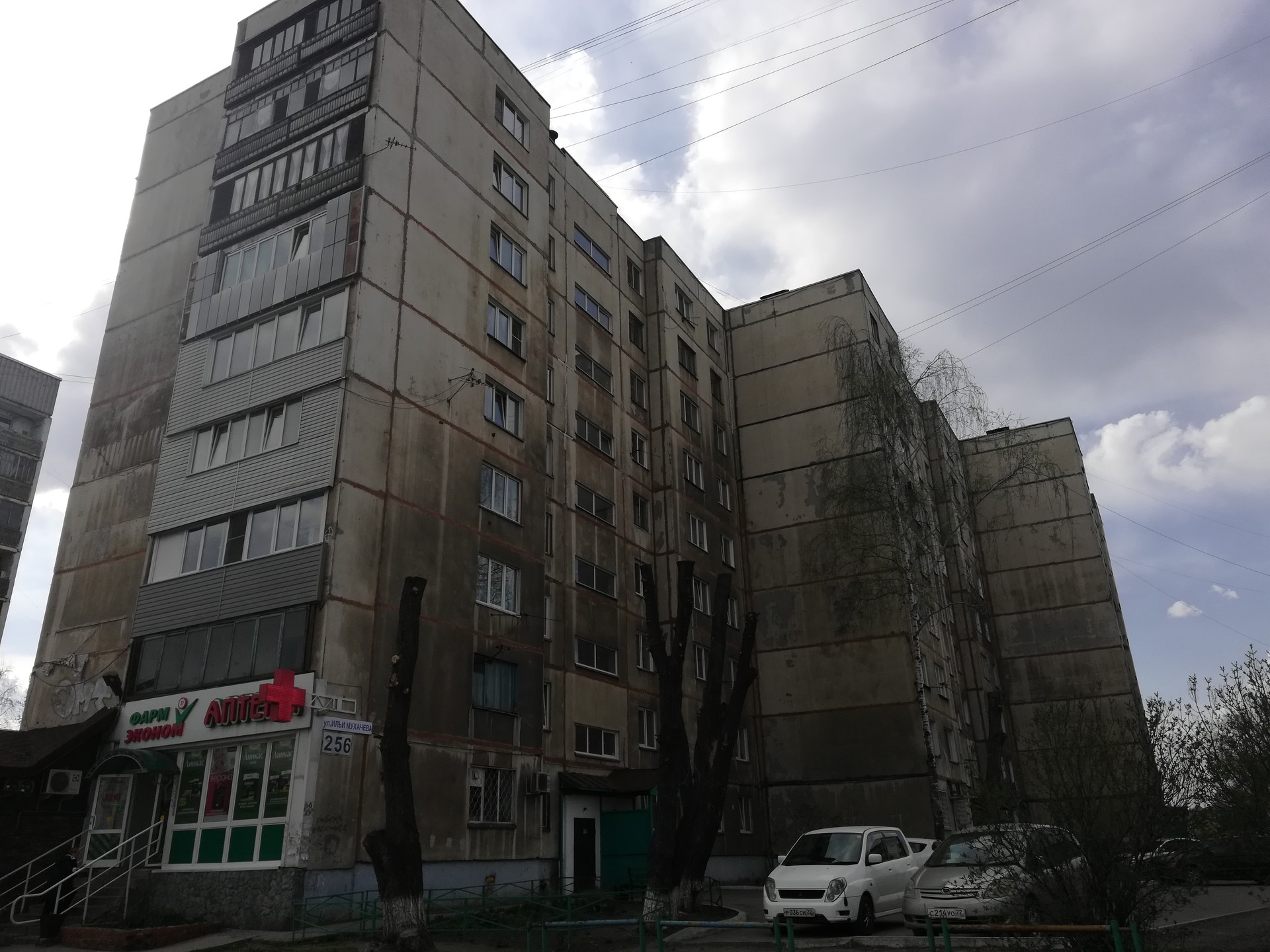 край. Алтайский, г. Бийск, ул. Мухачева, д. 256-фасад здания