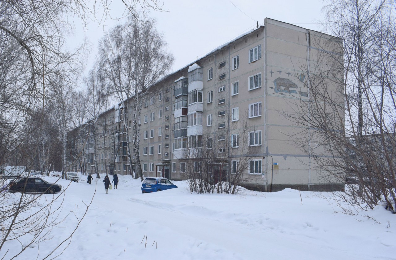 Купить Квартиру В Пашино Новосибирск Комнатная