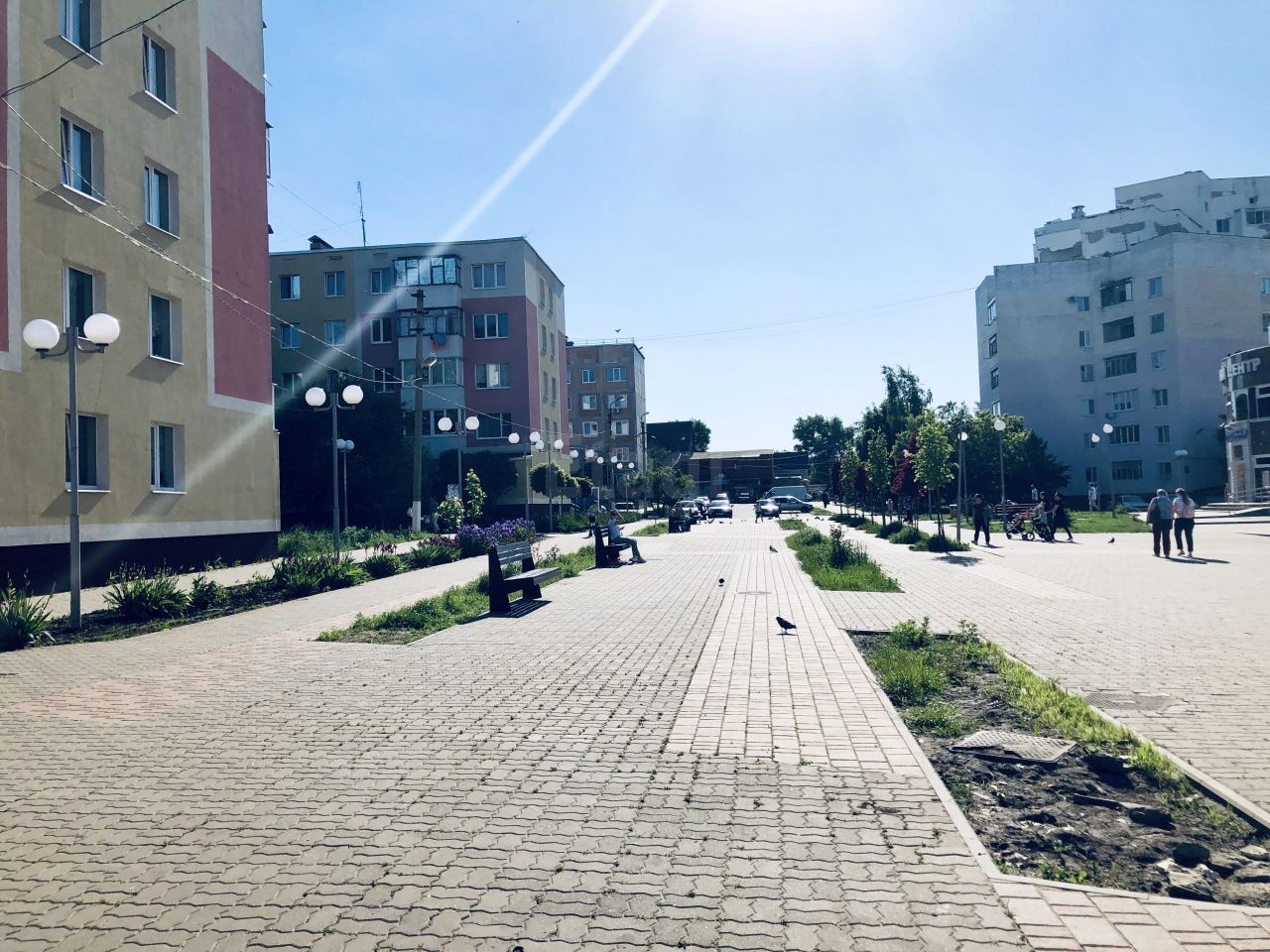 обл. Белгородская, р-н. Белгородский, п. Северный, ул. Олимпийская, д. 2-придомовая территория