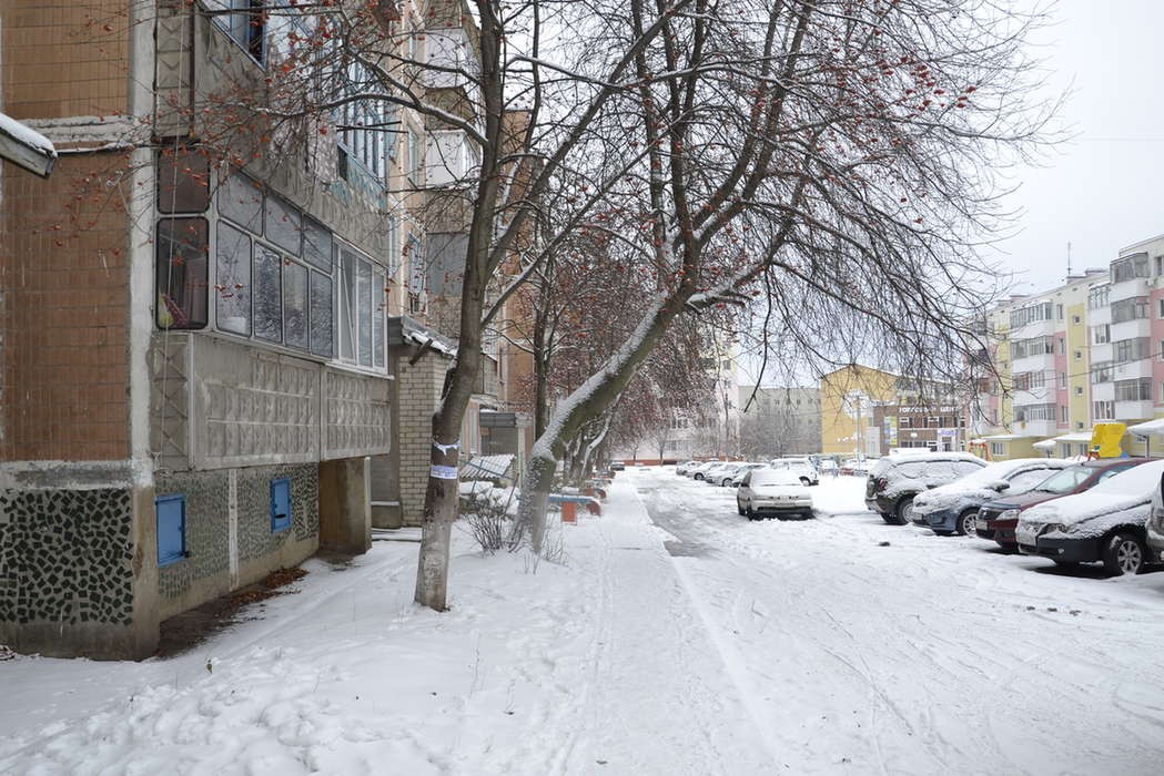 обл. Белгородская, р-н. Белгородский, п. Северный, ул. Олимпийская, д. 5-придомовая территория