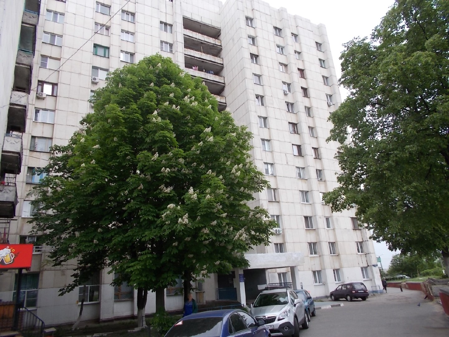 обл. Белгородская, г. Белгород, ул. Щорса, д. 16-фасад здания