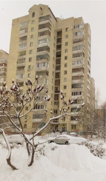 обл. Белгородская, г. Белгород, ул. Щорса, д. 58-фасад здания