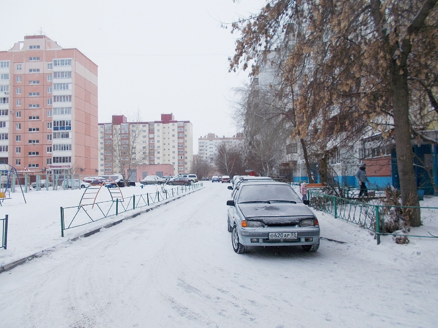 обл. Омская, г. Омск, ул. Дмитриева, д. 15-придомовая территория