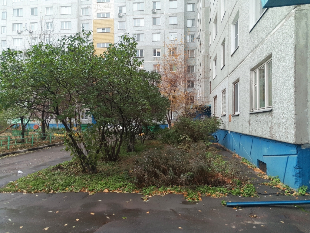 обл. Омская, г. Омск, ул. Конева, д. 28-входная группа