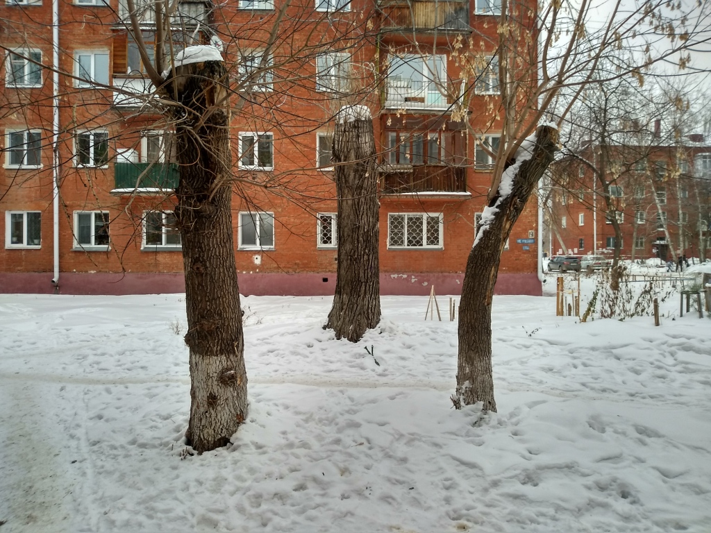 обл. Омская, г. Омск, ул. Учебная, д. 191-фасад здания