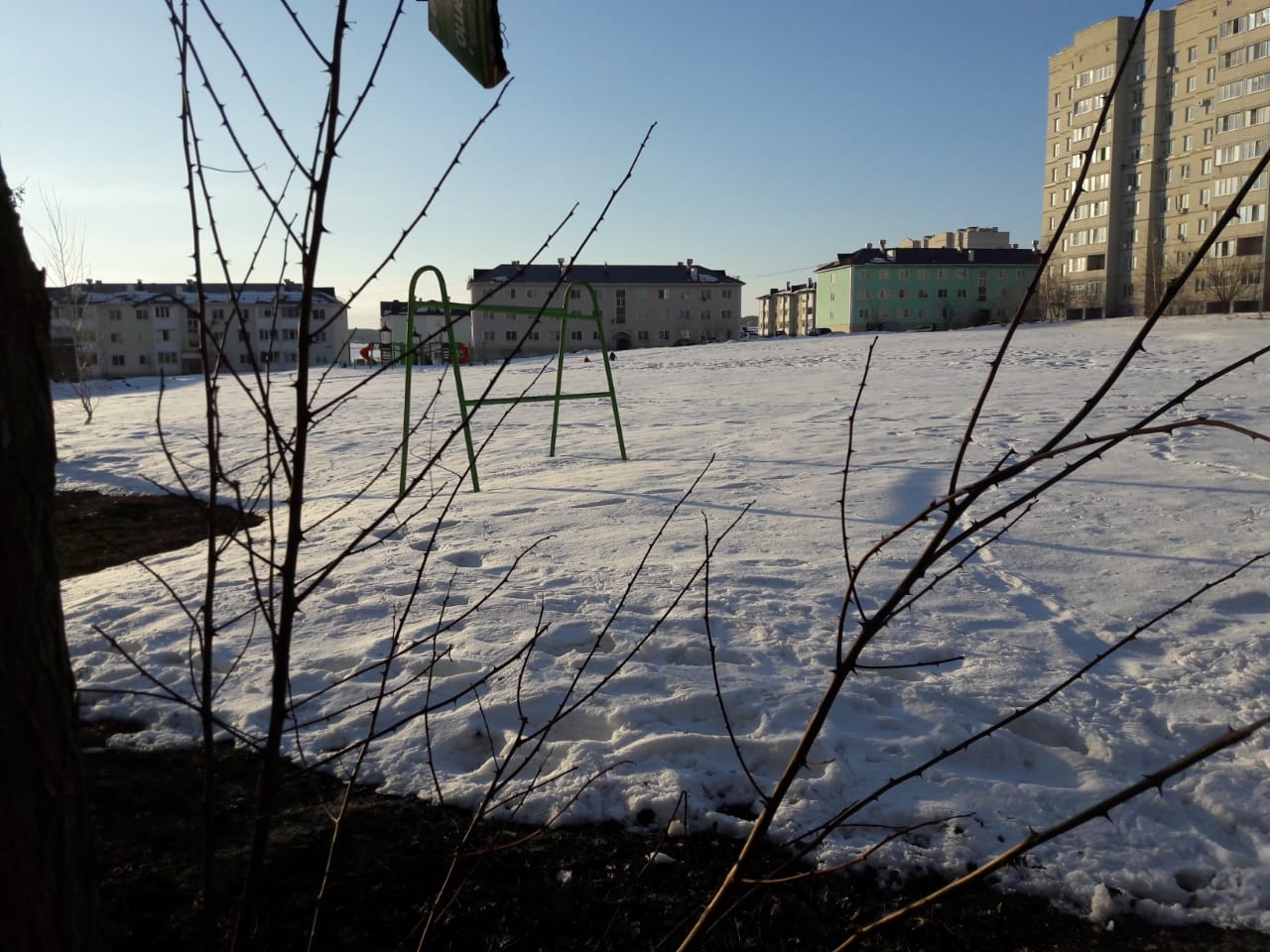 обл. Белгородская, г. Губкин, ул. Петра Великого, д. 10-придомовая территория