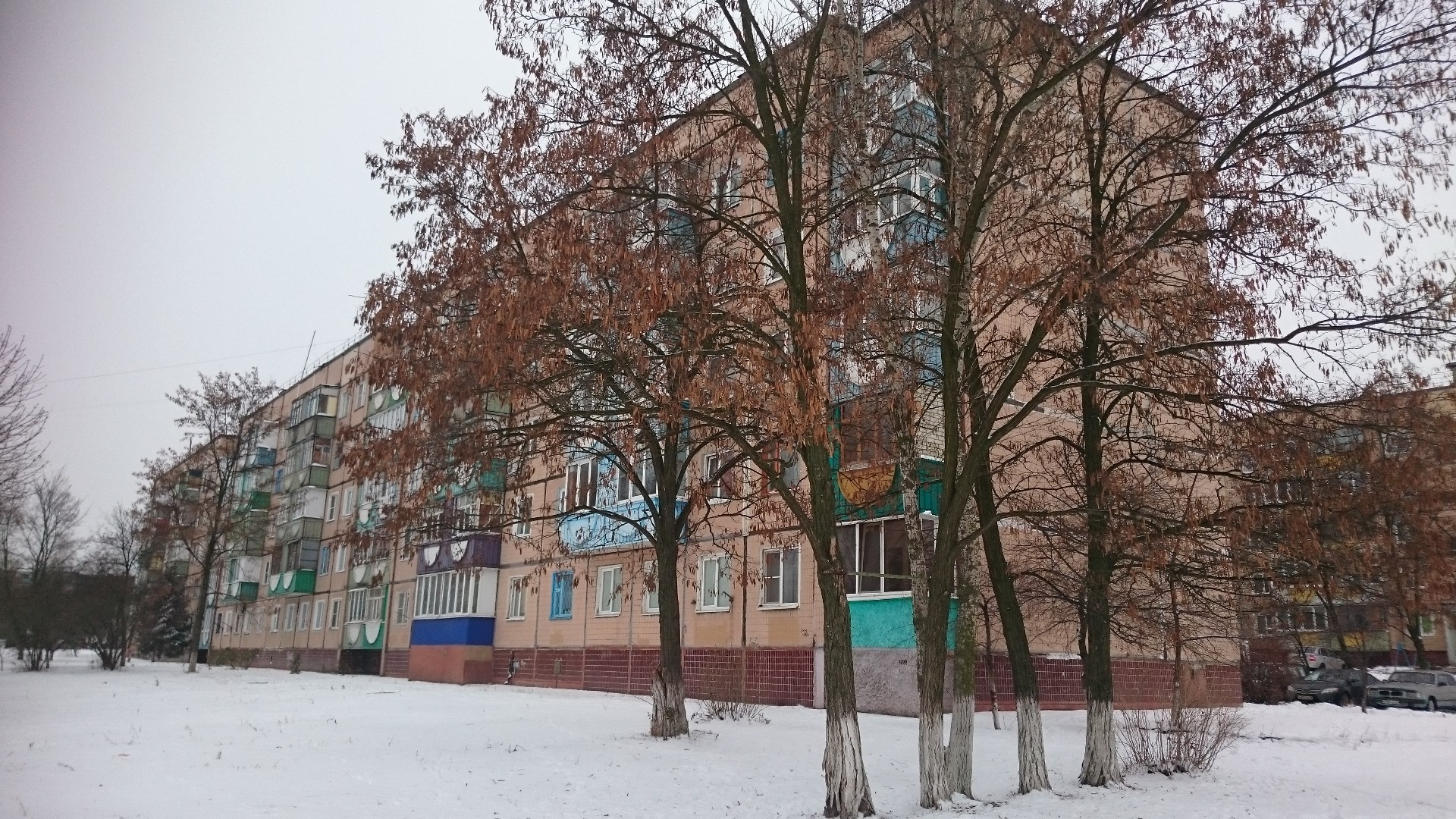 обл. Белгородская, г. Губкин, ул. Раевского, д. 20а-придомовая территория