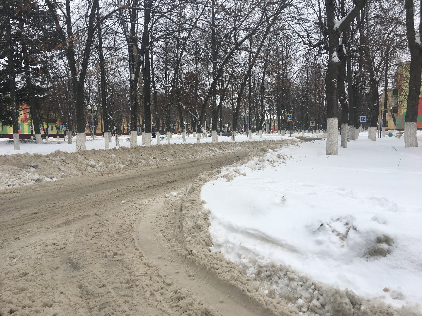 обл. Белгородская, г. Губкин, ул. Советская, д. 16-придомовая территория