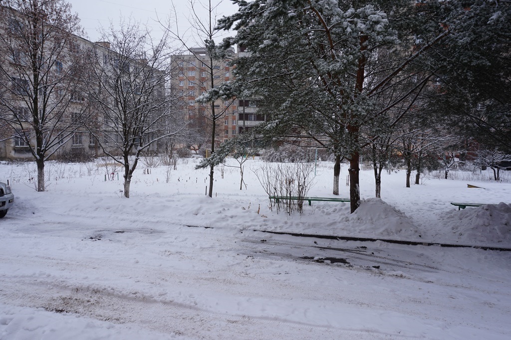 обл. Орловская, г. Орел, ул. Генерала Жадова, д. 25-придомовая территория