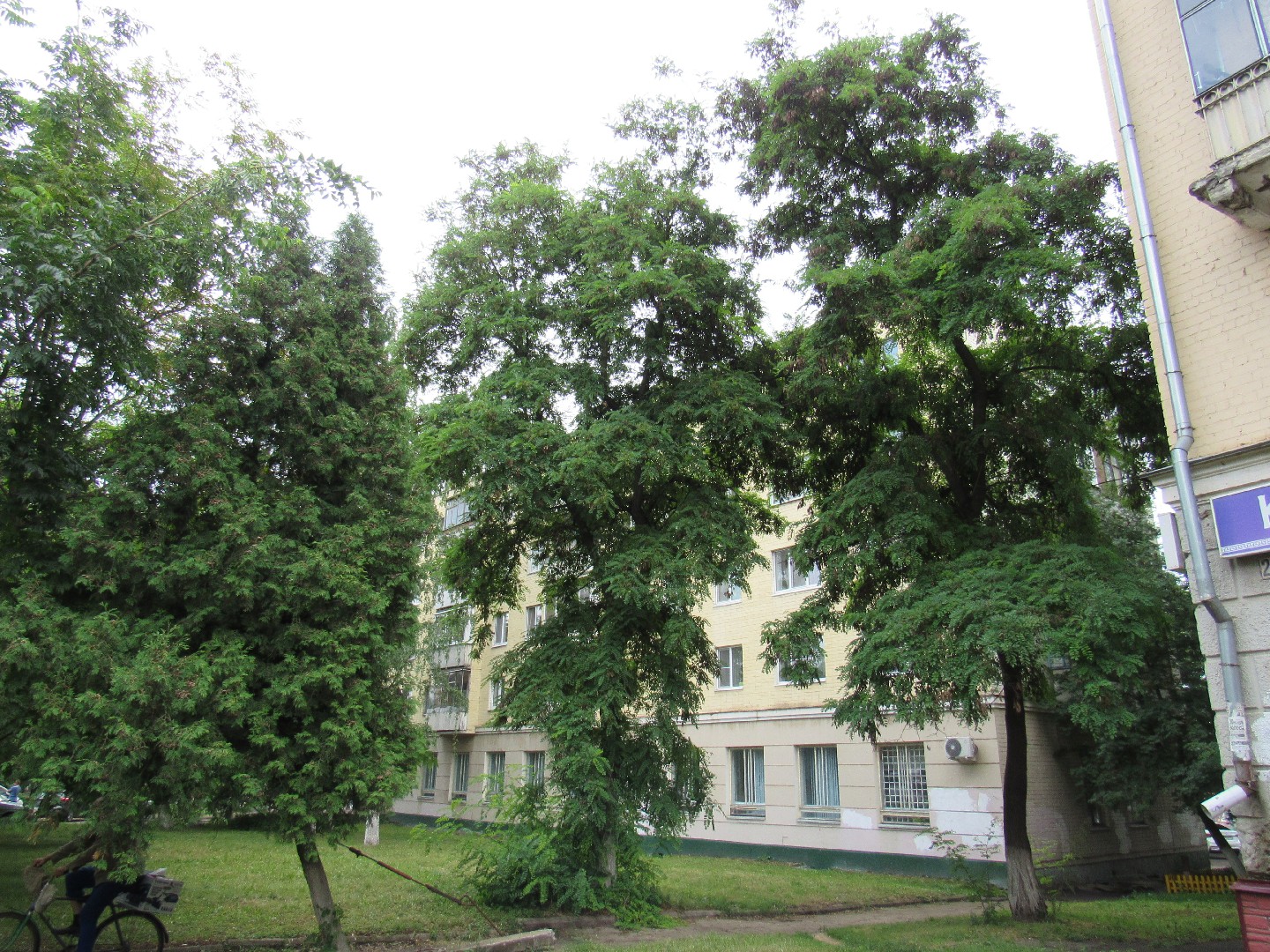 обл. Орловская, г. Орел, ул. Комсомольская, д. 193-фасад здания