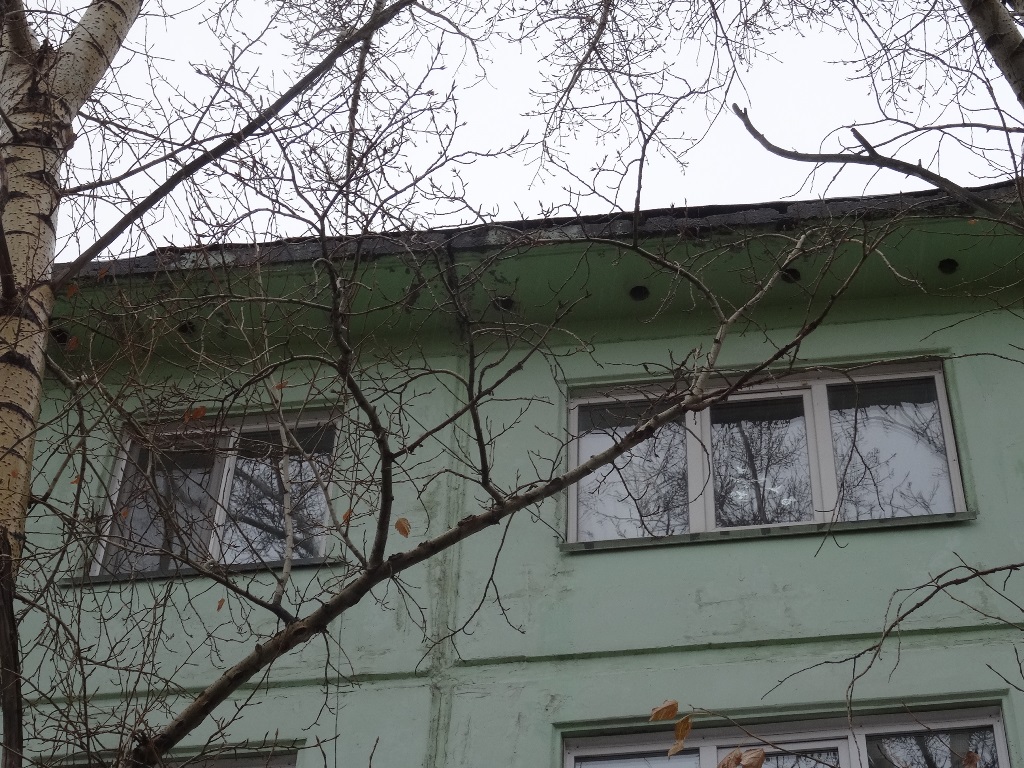край. Алтайский, г. Бийск, ул. Социалистическая, д. 104-фасад здания