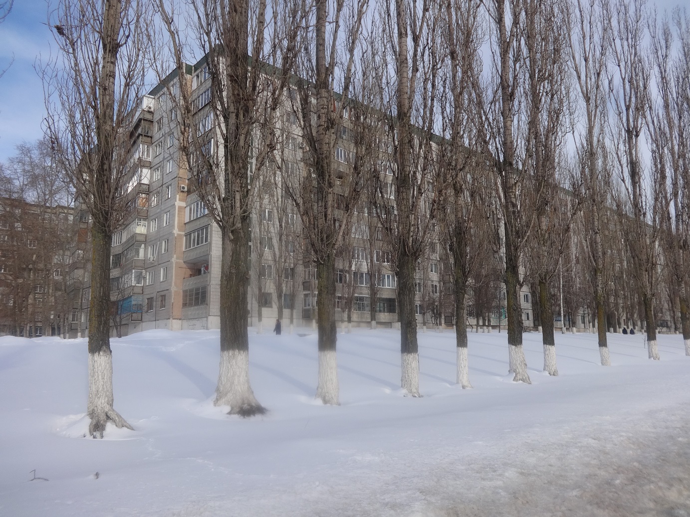 обл. Белгородская, г. Старый Оскол, мкр. Олимпийский, д. 48-придомовая территория