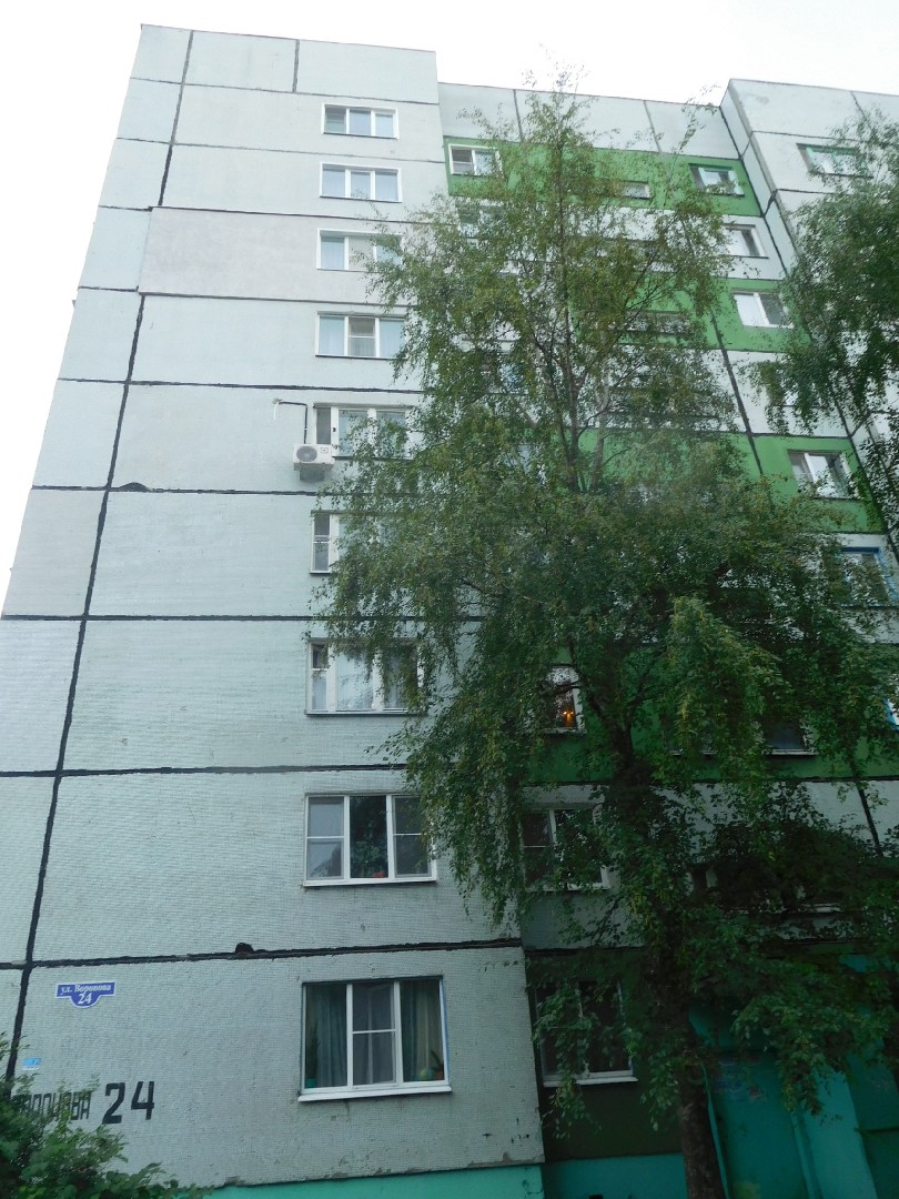 обл. Пензенская, г. Пенза, ул. Воронова, д. 24-фасад здания