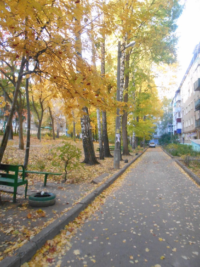 обл. Пензенская, г. Пенза, ул. Пацаева, д. 9-придомовая территория