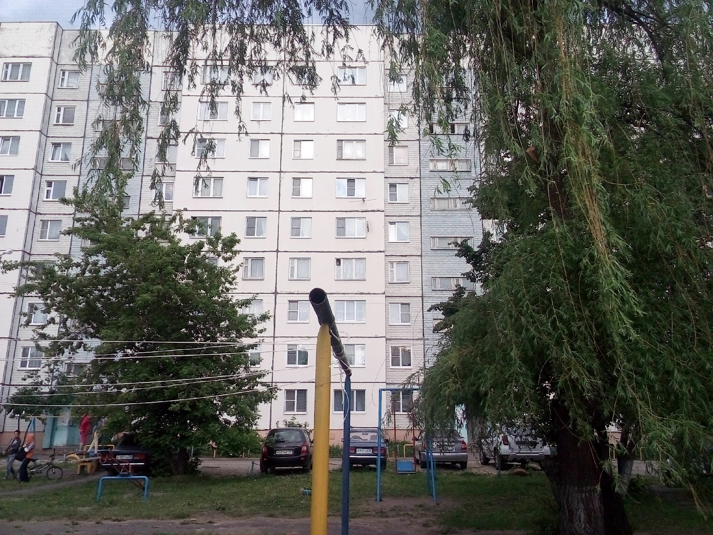 обл. Пензенская, г. Пенза, ул. Терновского, д. 170-фасад здания