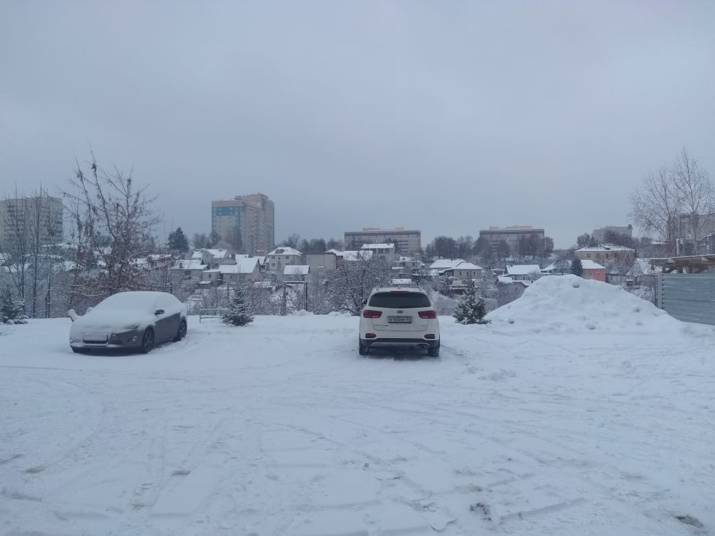 обл. Брянская, г. Брянск, ул. Вильямса, д. 4-придомовая территория