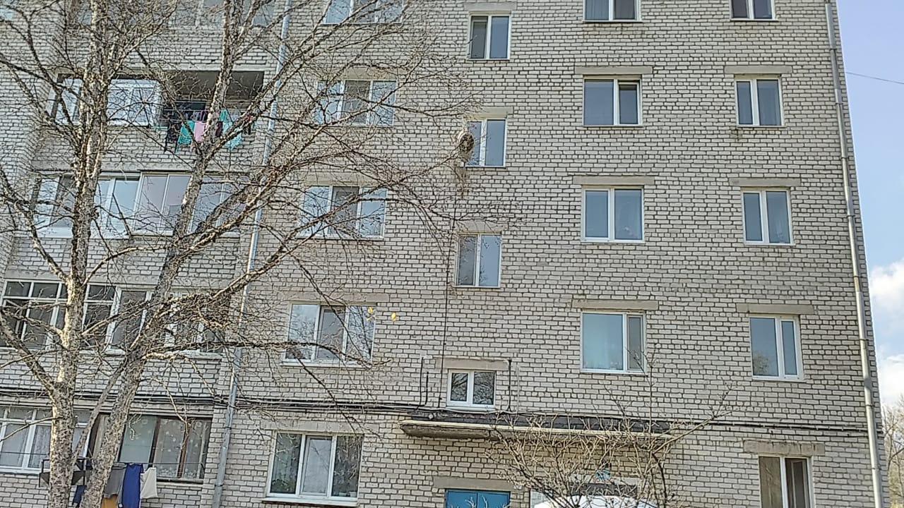 край. Приморский, г. Артем, ул. Барнаульская, д. 14-фасад здания