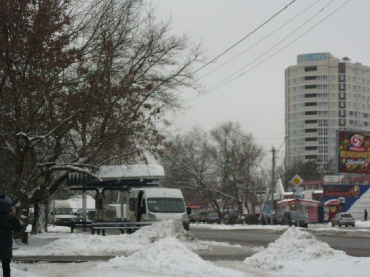 обл. Брянская, г. Брянск, ул. Камозина, д. 33-придомовая территория