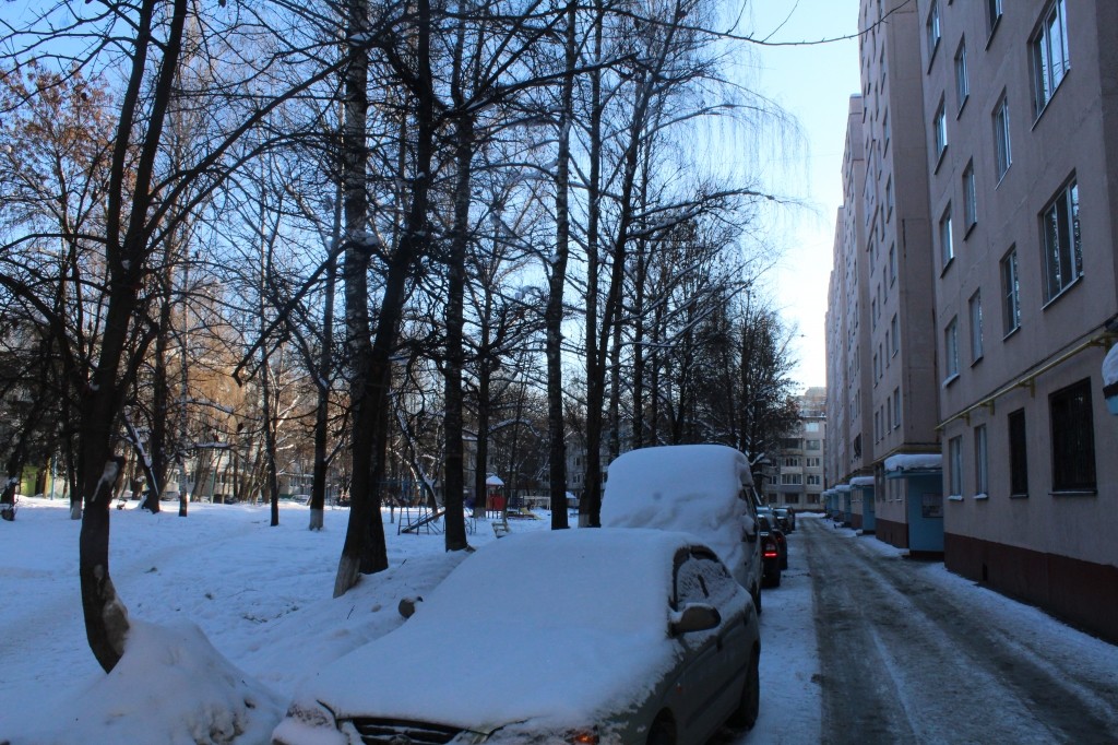 обл. Брянская, г. Брянск, пр-кт. Московский, д. 95, к. 1-придомовая территория