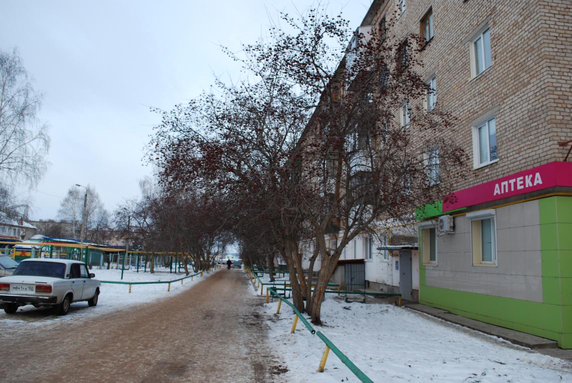 Респ. Башкортостан, р-н. Туймазинский, с. Субханкулово, ул. Черняева, д. 1-фасад здания