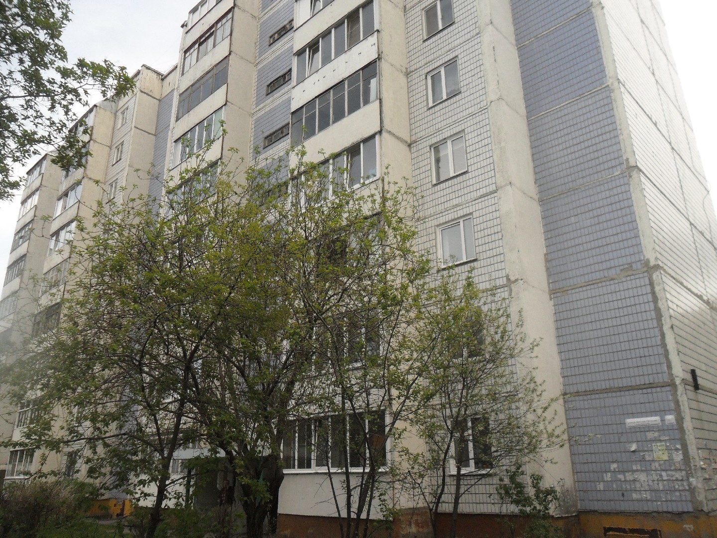 край. Алтайский, г. Барнаул, ул. Антона Петрова, д. 227-фасад здания
