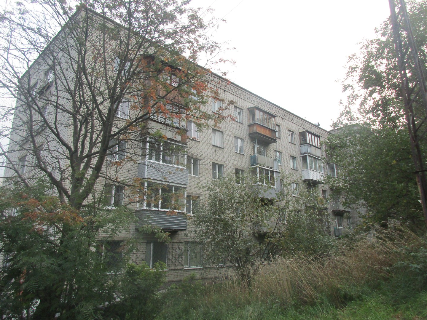 Респ. Карелия, г. Петрозаводск, ул. Калинина, д. 51а-фасад здания