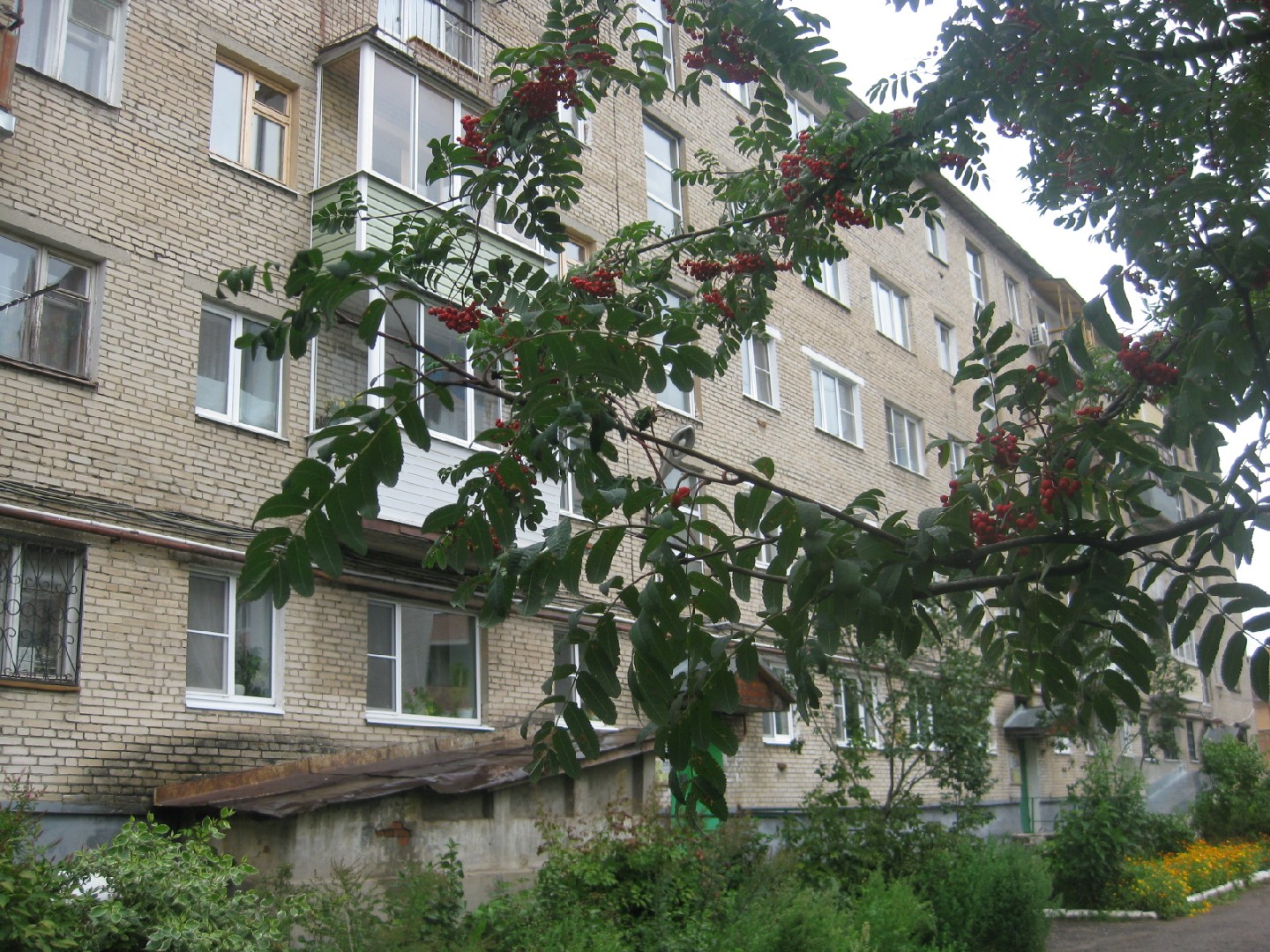 обл. Владимирская, р-н. Александровский, г. Александров, ул. Ленина, д. 32-фасад здания