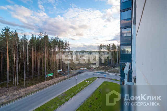 Респ. Карелия, г. Петрозаводск, проезд. Скандинавский, д. 11-придомовая территория