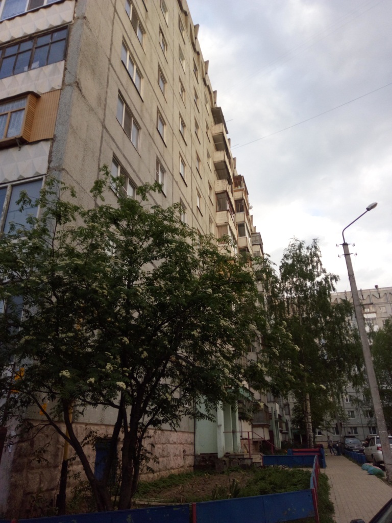 Респ. Коми, г. Сыктывкар, ул. Малышева, д. 16-фасад здания