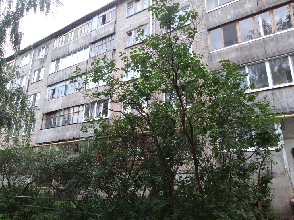 Респ. Марий Эл, г. Йошкар-Ола, ул. Павленко, д. 9-фасад здания