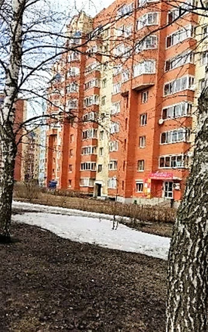 Респ. Мордовия, г. Саранск, ул. Ульянова, д. 89-фасад здания