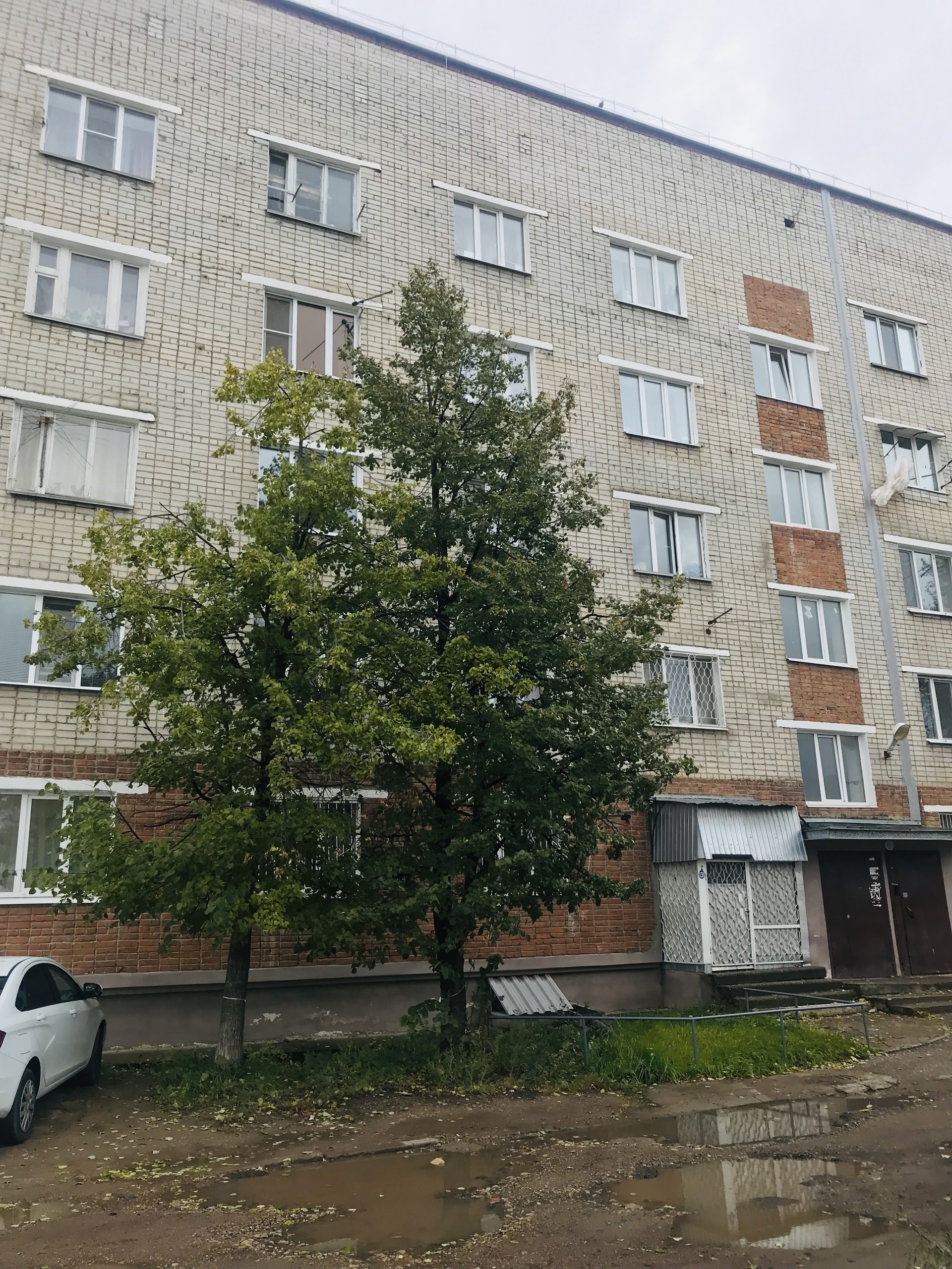 Респ. Татарстан, г. Казань, ул. Аделя Кутуя, д. 86а-фасад здания