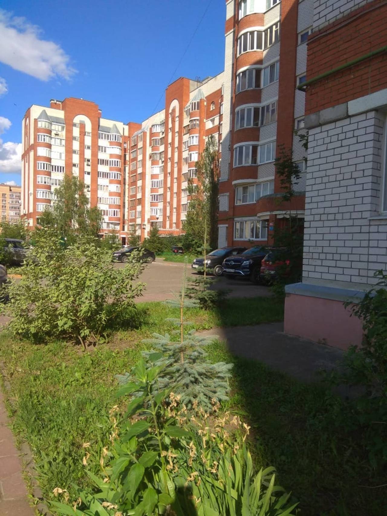 Респ. Татарстан, г. Казань, ул. Патриса Лумумбы, д. 58-придомовая территория