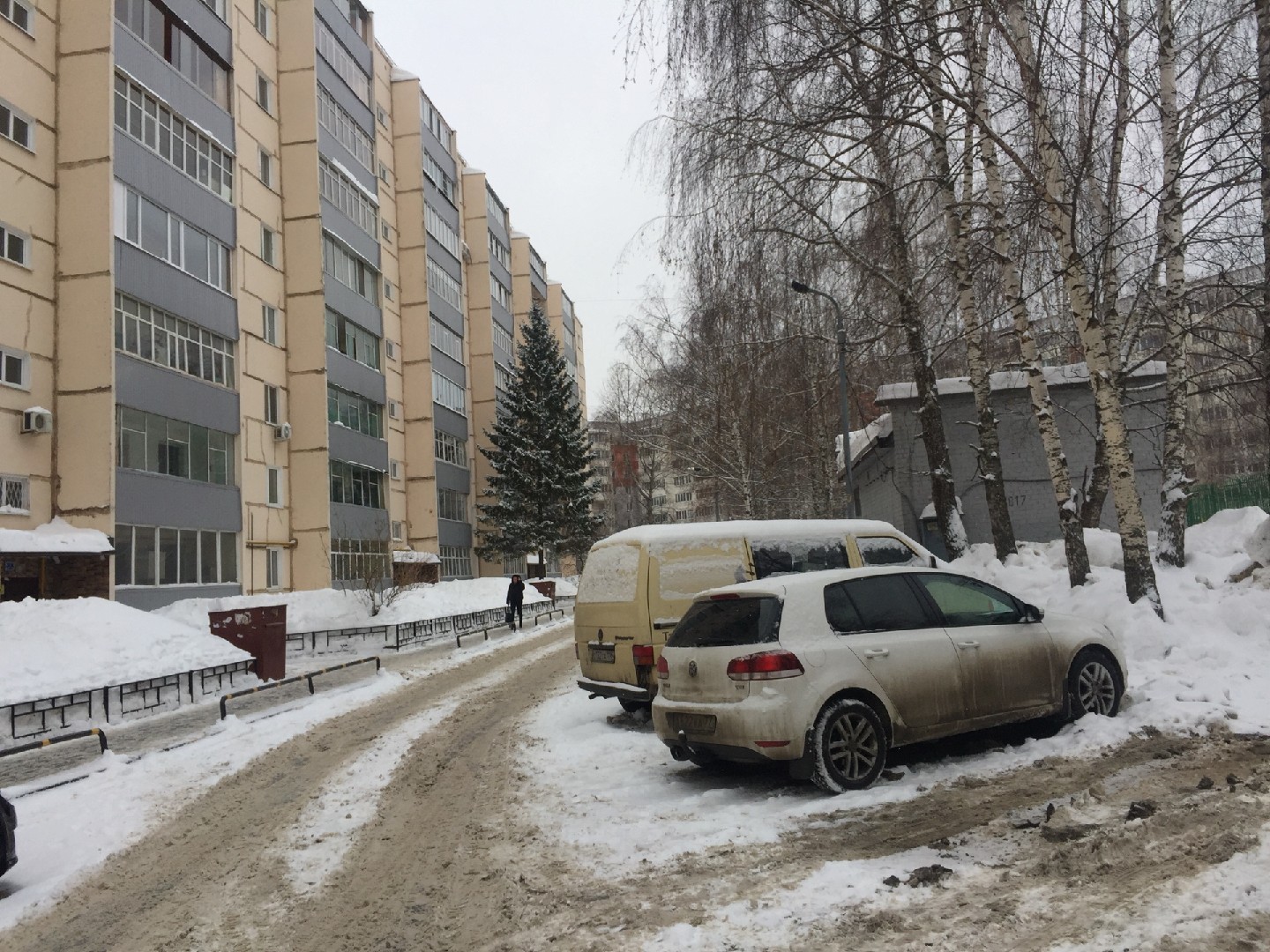 Респ. Татарстан, г. Казань, ул. Юлиуса Фучика, д. 36-придомовая территория