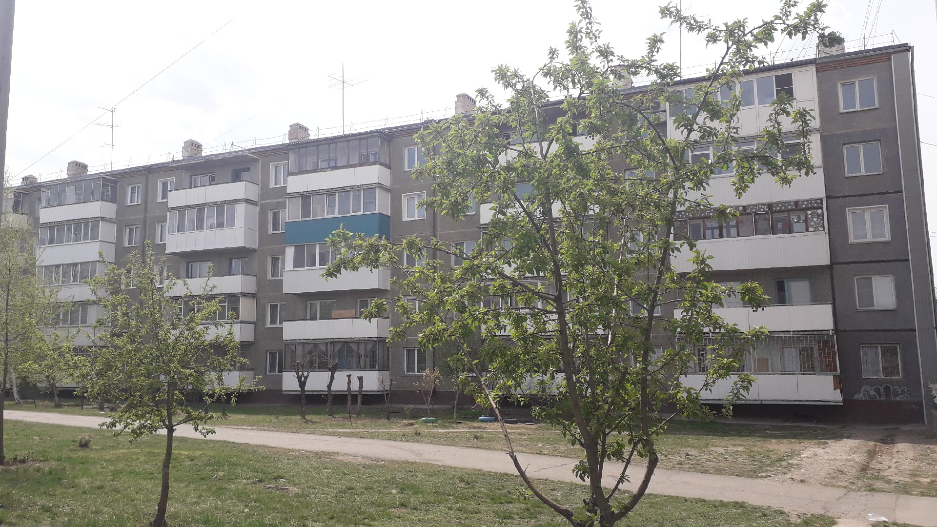 Респ. Хакасия, г. Абакан, ул. Ломоносова, д. 18-фасад здания