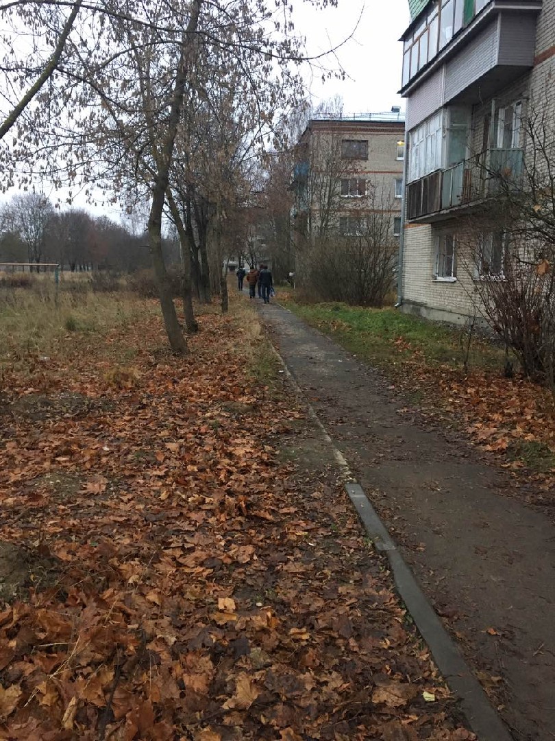 обл. Владимирская, р-н. Петушинский, п. Вольгинский, ул. Новосеменковская, д. 10-придомовая территория